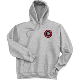 South Pittsburgh Rebellion Super Heavyweight Fleece Hoodie