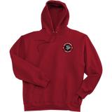 South Pittsburgh Rebellion Super Heavyweight Fleece Hoodie